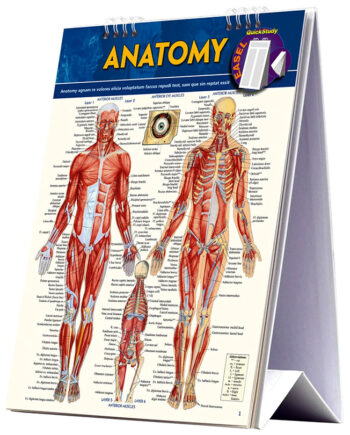 Anatomy Easel Book:   Quickstudy Reference Tool