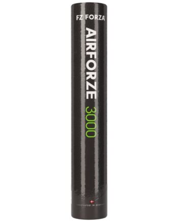 Forza Airforze 3000