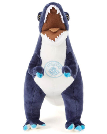 Manchester City  -rex Bamse