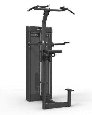 Odin Pro Standing Biceps Triceps 114kg