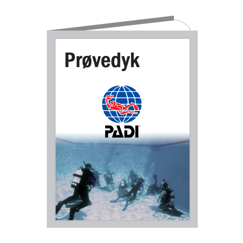 Padi Prøvedyk   Pool
