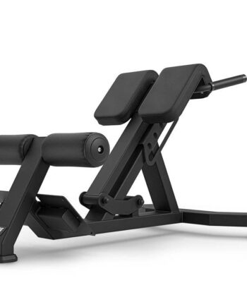 Professionel Fitnesscenter Rygtræner