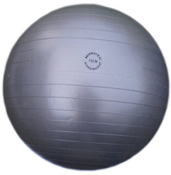 Træningsbold 75 Cm  Grå  Nordic Strength