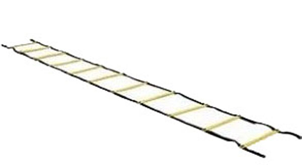 Aserve Agility Stige