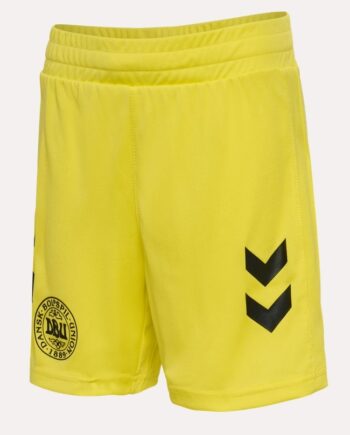 Denmark Goal-keeper Shorts 2024 26 Youth-140