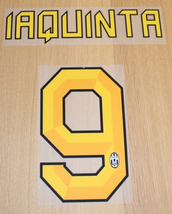 Juventus Home Printing 2010 11 Iaquinta  -adult