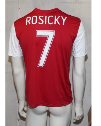 Nike Team Jersey Rosicky  -