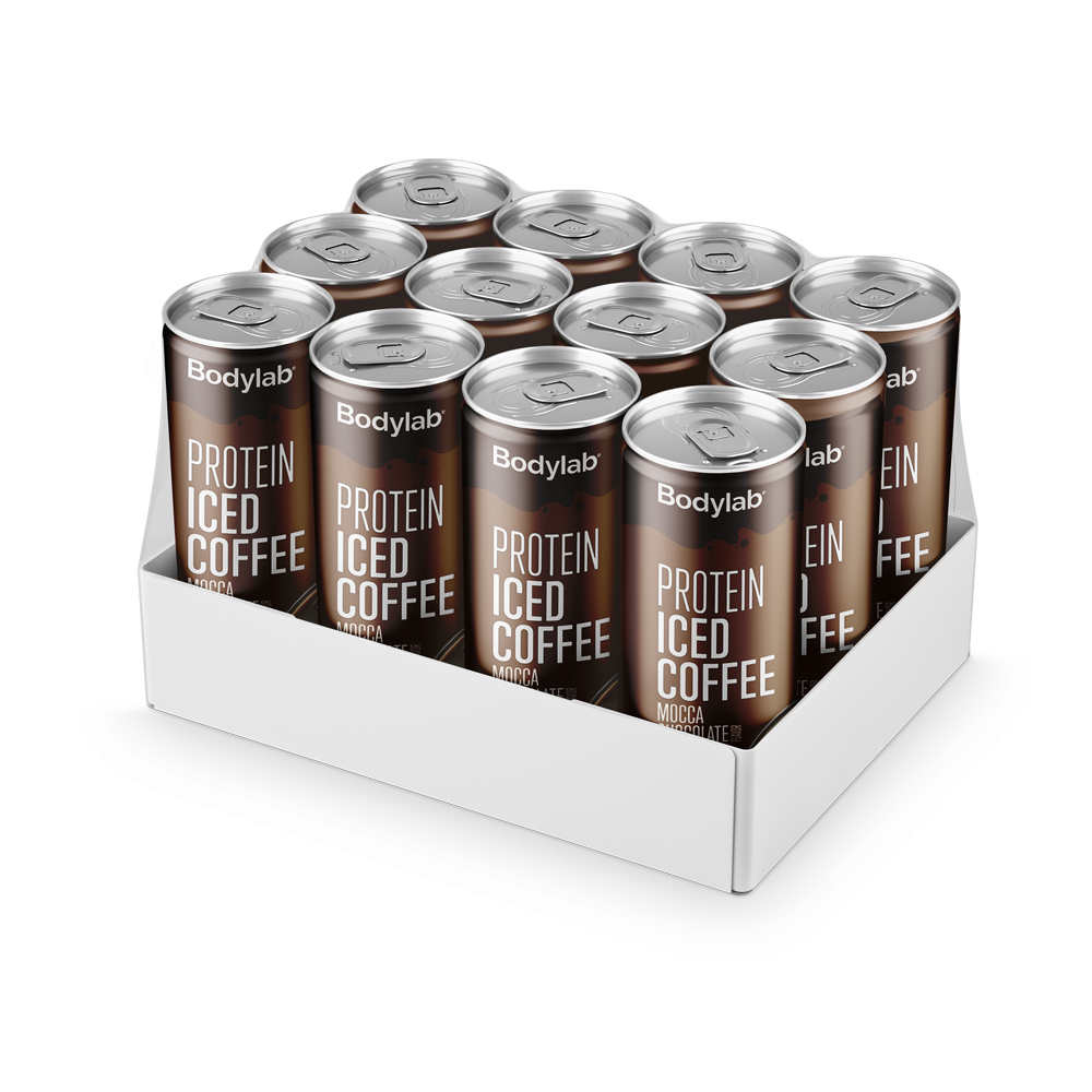 Protein Ice Coffee  12   250 Ml  Mocca Chocolate