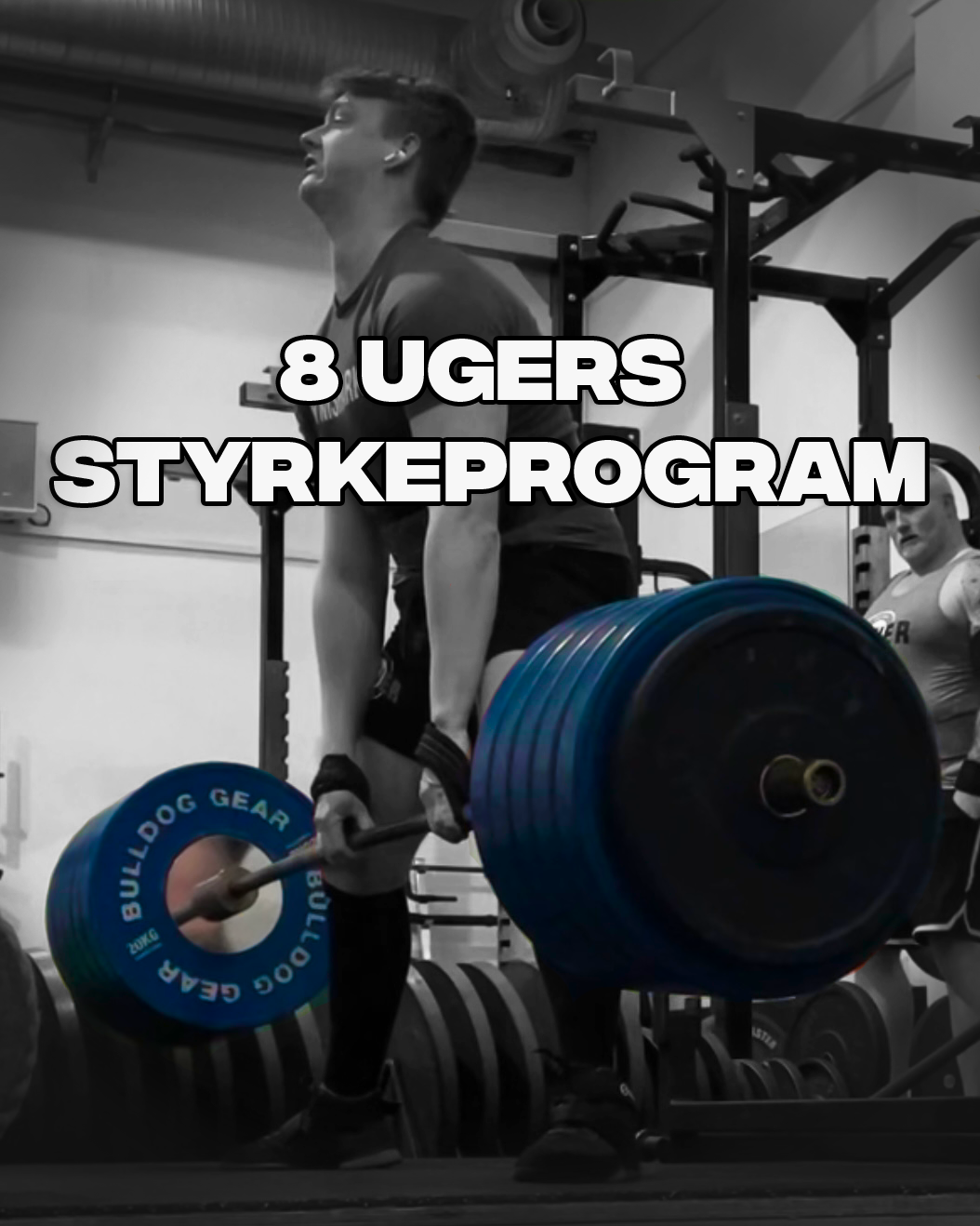 Styrkeprogram Normalt 300 Kr