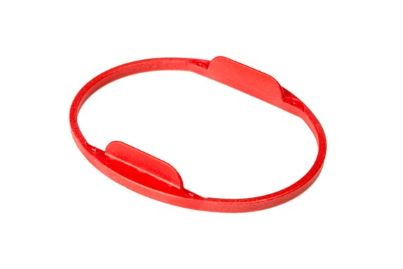 Support Ring Antares