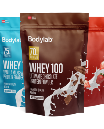 Whey 100  400