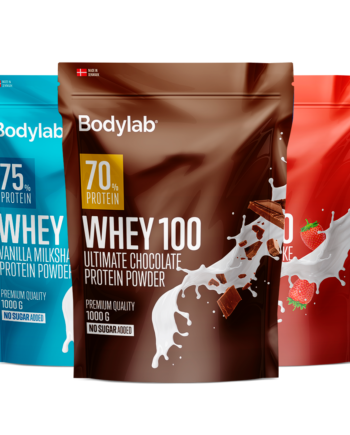 Whey 100    Kg