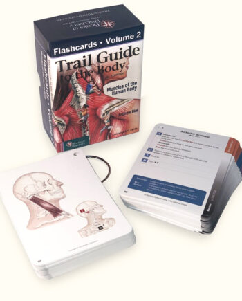Trail Guide To The Body Cards Muscles