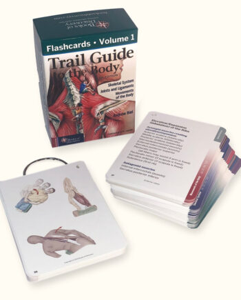 Trail Guide To The Body Cards Skeletal
