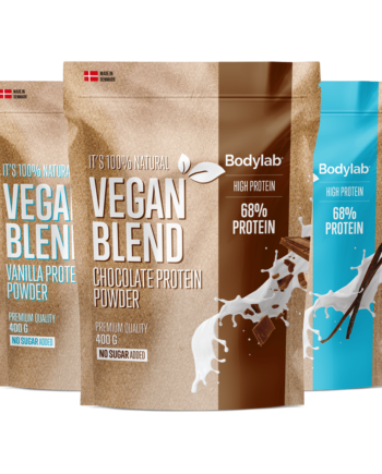 Vegan Protein Blend  400